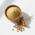 Coriander powder in a wooden bowl with whole coriander seeds on white background