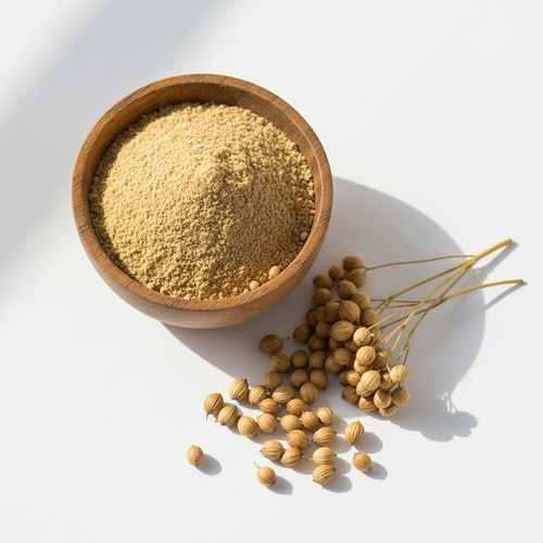Coriander powder in a wooden bowl with whole coriander seeds on white background