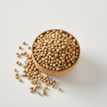 Whole coriander seeds in a wooden bowl on white background